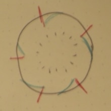 抜き型なしでお花型にんじん レシピ 作り方 By Nyatz 楽天レシピ 抜き型なしでお花型にんじん レシピ 作り方 By Nyatz 楽天レシピ
